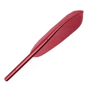 feather-colour-pen-black-ink